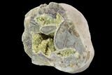 Yellow Crystal Filled Septarian Geode - Utah #94404-2